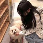 宝宝换装游戏下载